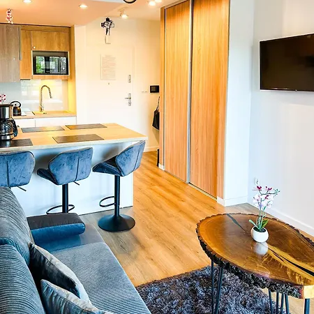 Zakopianska Gran 아파트 자코파네